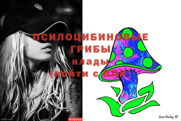 мяу мяу мука Корсаков