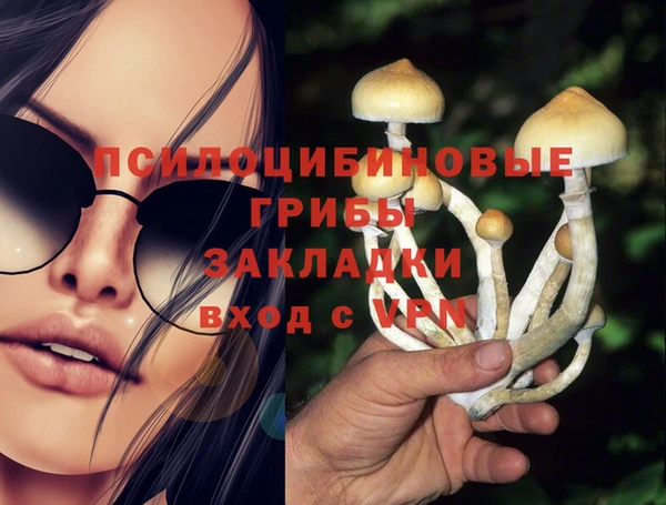 метадон Коряжма